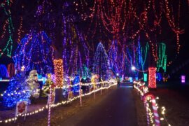 Christmas Lights in St. Paul Minnesota