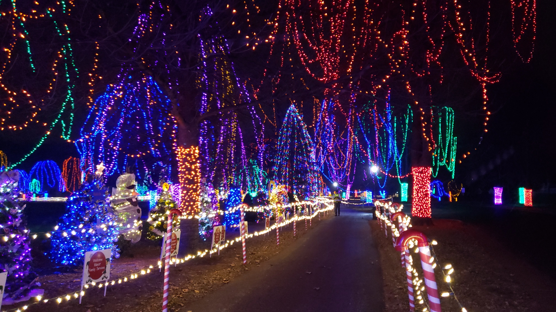 Christmas Lights in St. Paul Minnesota