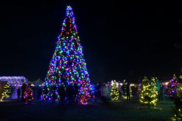 Christmas Lights in Thornton Colorado