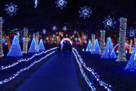 Christmas Lights in Tulsa Oklahoma