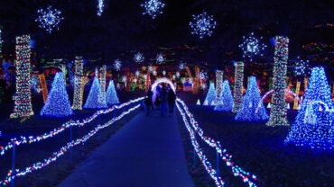 Christmas Lights in Tulsa Oklahoma