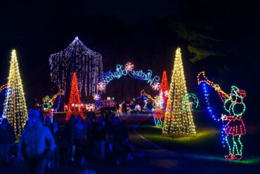 Christmas Lights in Waldorf Maryland