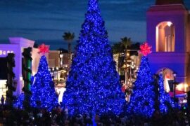 Christmas Lights in Wesley Chapel Florida