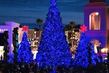 Christmas Lights in Wesley Chapel Florida