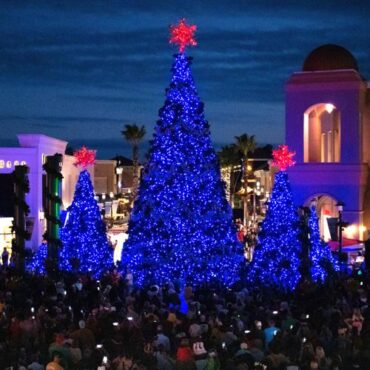 Christmas Lights in Wesley Chapel Florida