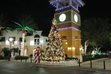 Christmas Lights in Weston Florida