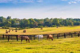 Day trips in Lexington Kentucky