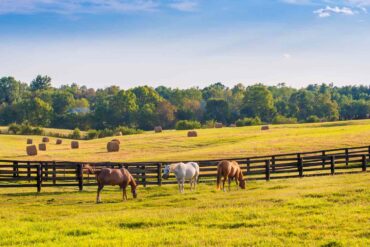 Day trips in Lexington Kentucky