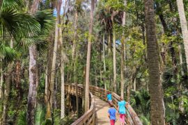 Day trips in Orlando Florida