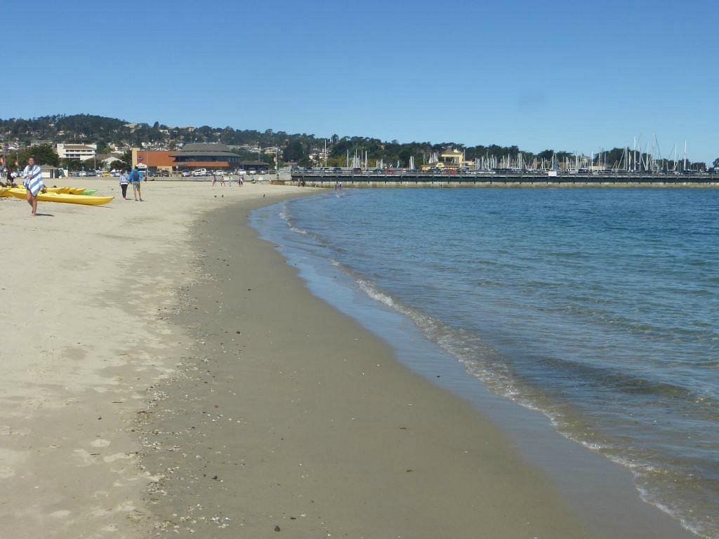 Dog Friendly Beaches in El Monte California