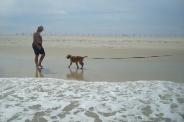 Dog Friendly Beaches in Gaithersburg Maryland