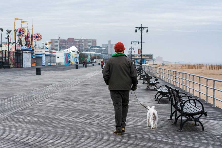 Dog Friendly Beaches in New York City