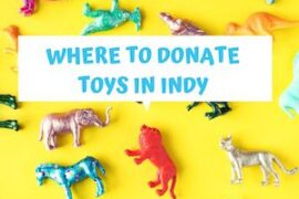 Donate Toys in Fishers Indiana