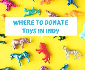 Donate Toys in Fishers Indiana