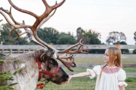 Family Farm Stays in Bowling Green Kentucky