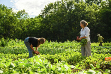 Family Farm Stays in Bridgeport Connecticut