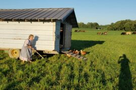 Family Farm Stays in Carmel Indiana