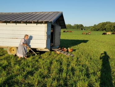 Family Farm Stays in Carmel Indiana