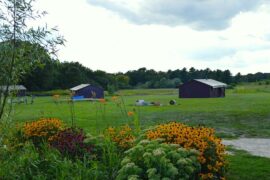 Family Farm Stays in Chicago Illinois