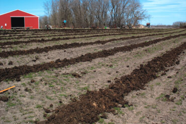 Family Farm Stays in Eagan Minnesota