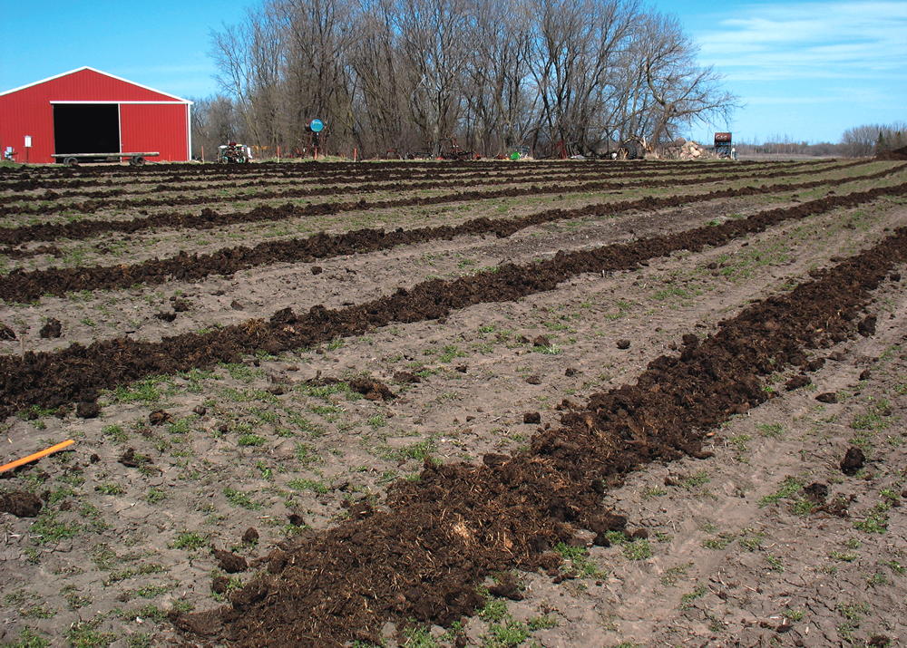 Family Farm Stays in Eagan Minnesota