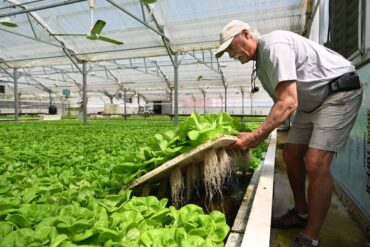 Family Farm Stays in Hartford Connecticut