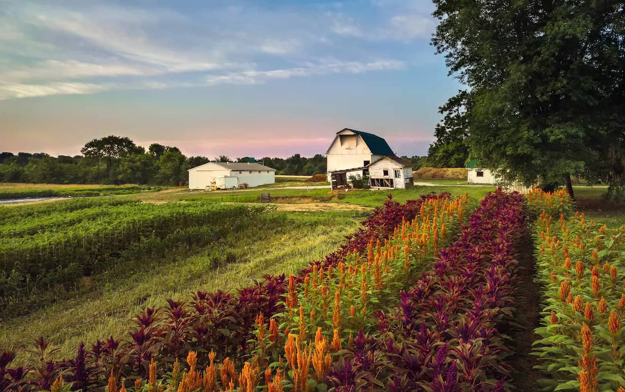 Family Farm Stays in Indianapolis Indiana