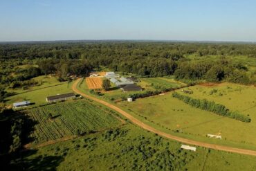 Family Farm Stays in Jackson Mississippi