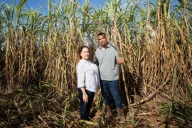 Family Farm Stays in Lafayette Louisiana