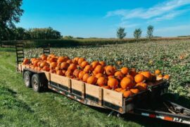 Family Farm Stays in Lakeville Minnesota