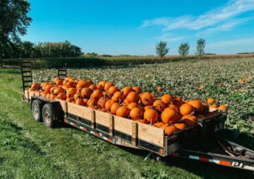 Family Farm Stays in Lakeville Minnesota