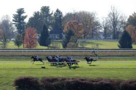 Family Farm Stays in Lexington Kentucky