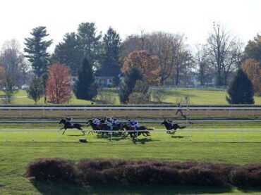 Family Farm Stays in Lexington Kentucky