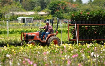 Family Farm Stays in Miami Gardens Florida