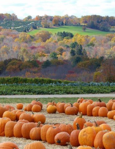 Family Farm Stays in New Britain Connecticut