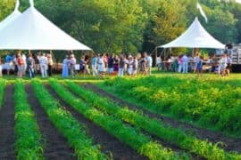 Family Farm Stays in Norwalk Connecticut