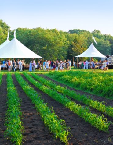 Family Farm Stays in Norwalk Connecticut