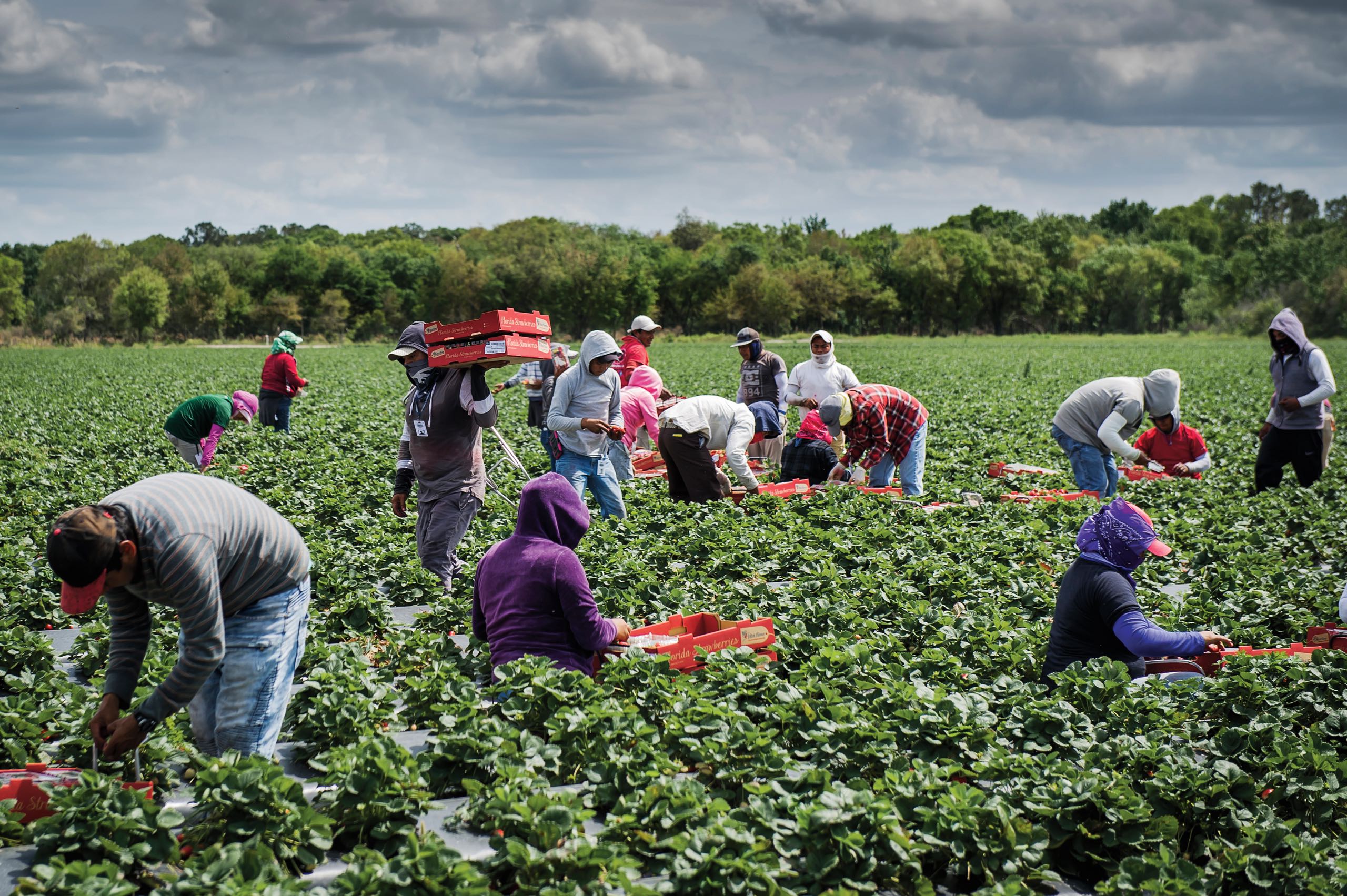 Family Farm Stays in Plantation Florida