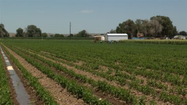 Family Farm Stays in Pueblo Colorado