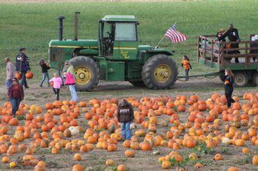 Family Farm Stays in Roanoke Virginia