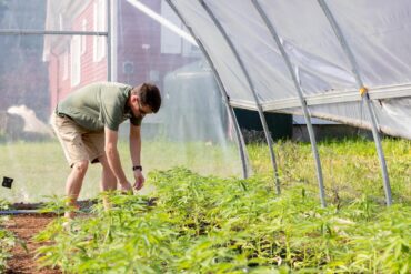 Family Farm Stays in Schenectady New York