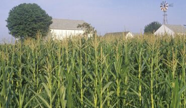 Family Farm Stays in South Bend Indiana