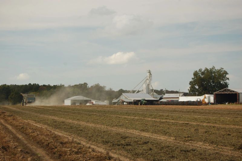 Family Farm Stays in Suffolk Virginia