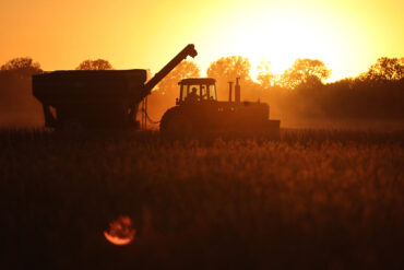 Family Farm Stays in Sunrise Florida