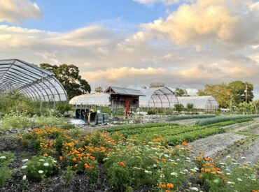 Family Farm Stays in Tampa Florida