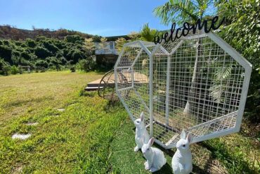 Family Farm Stays in Yau Tsim Mong Kowloon