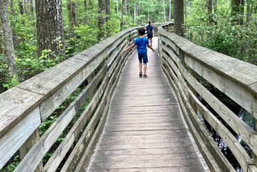 Family Walks With Kids in Chesapeake Virginia