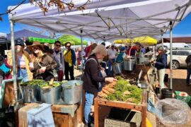 Farmers Markets in Aurora Colorado