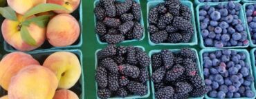 Farmers Markets in Baltimore Maryland