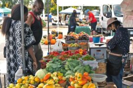 Farmers Markets in Brooklyn Park Minnesota